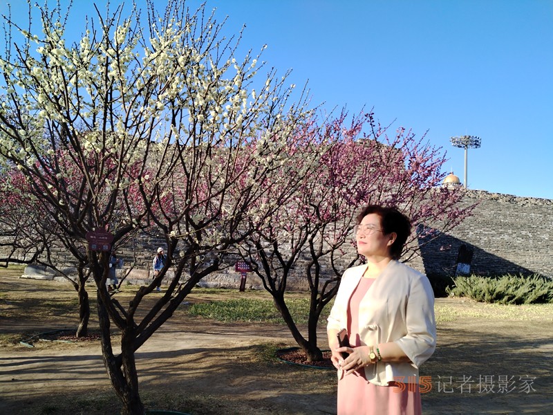 春分時(shí)節(jié)明城墻樂(lè)游賞梅