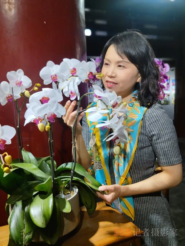 春分時(shí)節(jié)明城墻樂(lè)游賞梅