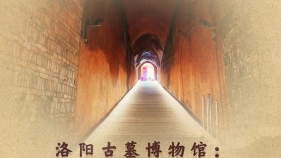 洛陽古墓博物館：“冷門”變“爆款”靠什么？