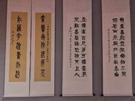 歲月如梭 墨韻春歌——袁春光書(shū)法作品匯報(bào)展在聊城拉開(kāi)帷幕