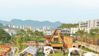 促增收，方寸庭院有乾坤