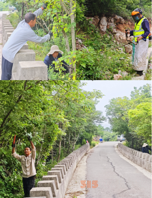 黑山景區(qū)除雜清障，守護(hù)夏日安全清爽