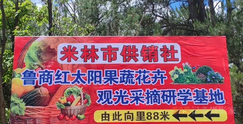 高原上的魯商引擎～-林芝市魯商產(chǎn)業(yè)園的藏區(qū)協(xié)同發(fā)展紀(jì)實(shí) 